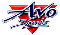 AVO shocks
