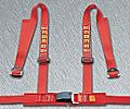 Momo harnesses